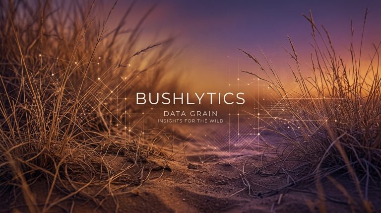 Bushlytics travel business visual